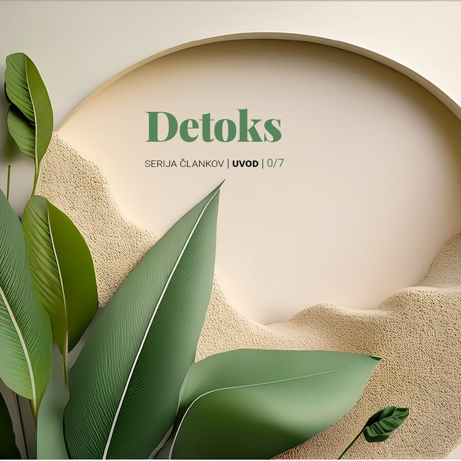 Detoks vseh bremen – serija